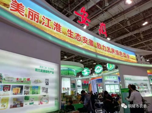 國家級金獎 銅陵這兩個產品太牛了