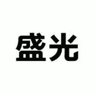 盛光 一場關于光明與繁榮的探索